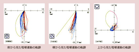 咀嚼運動の軌跡